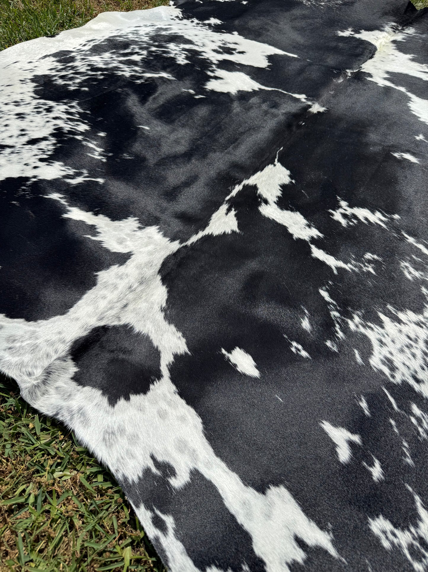 Cowhide Rug 360