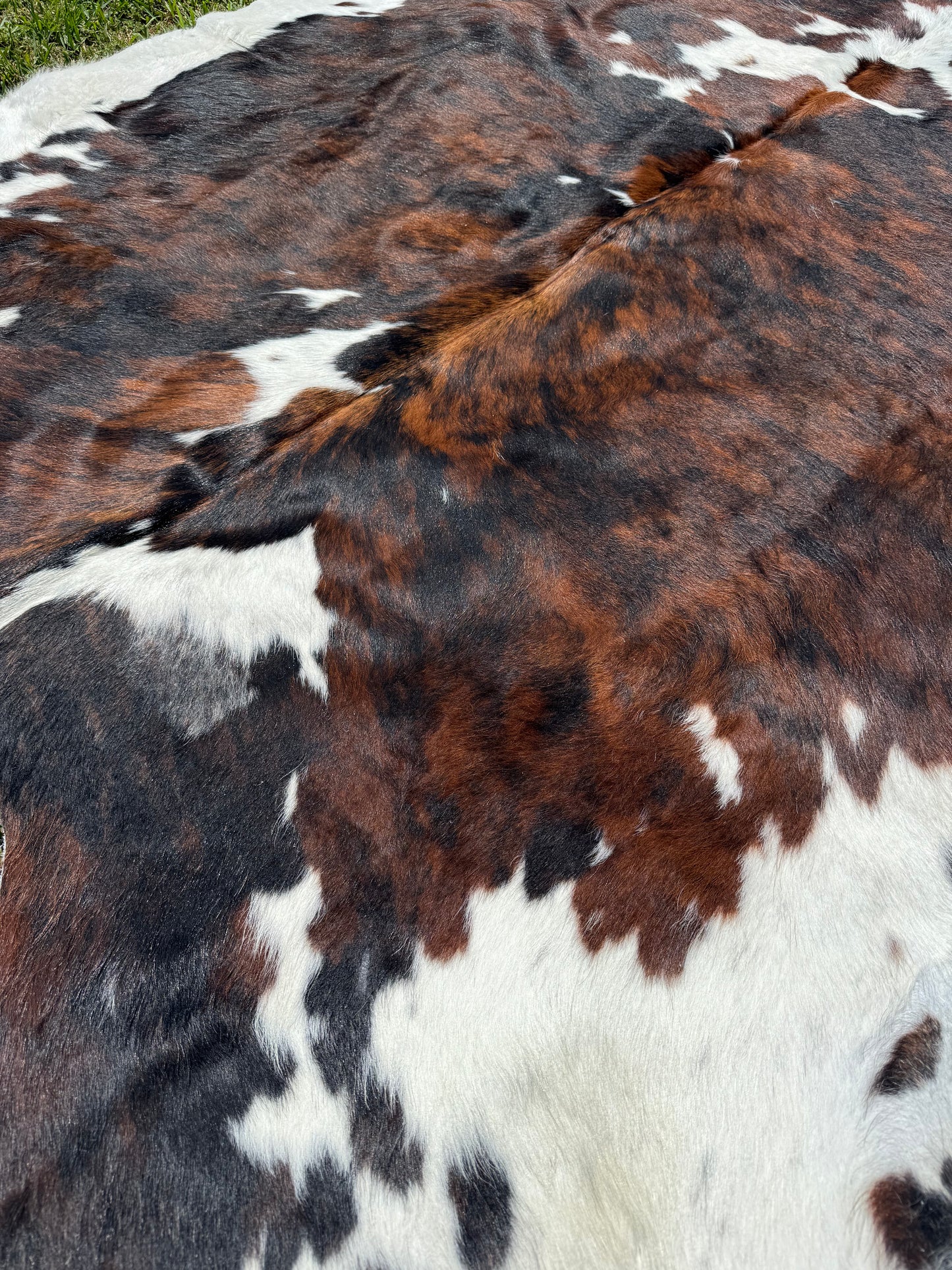 Cowhide Rug 363