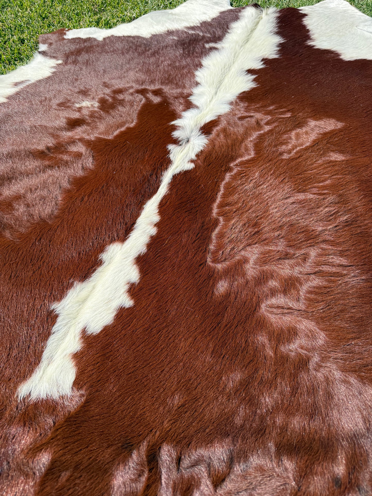 Cowhide Rug 373