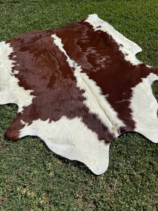 Cowhide Rug 373