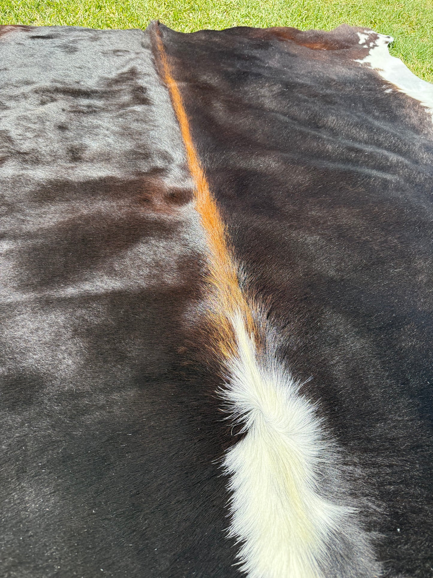 Cowhide Rug 380