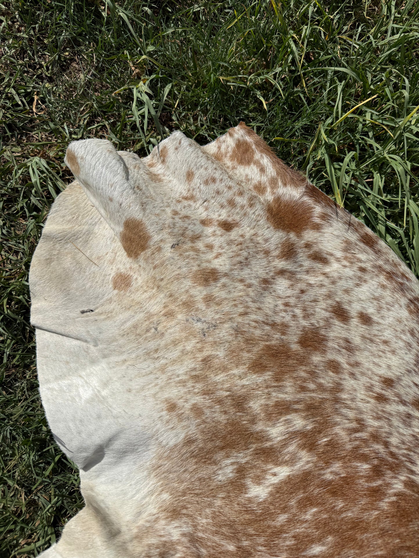 Craft hide side - 60