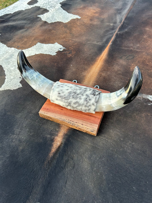 Small Mounted Longhorns