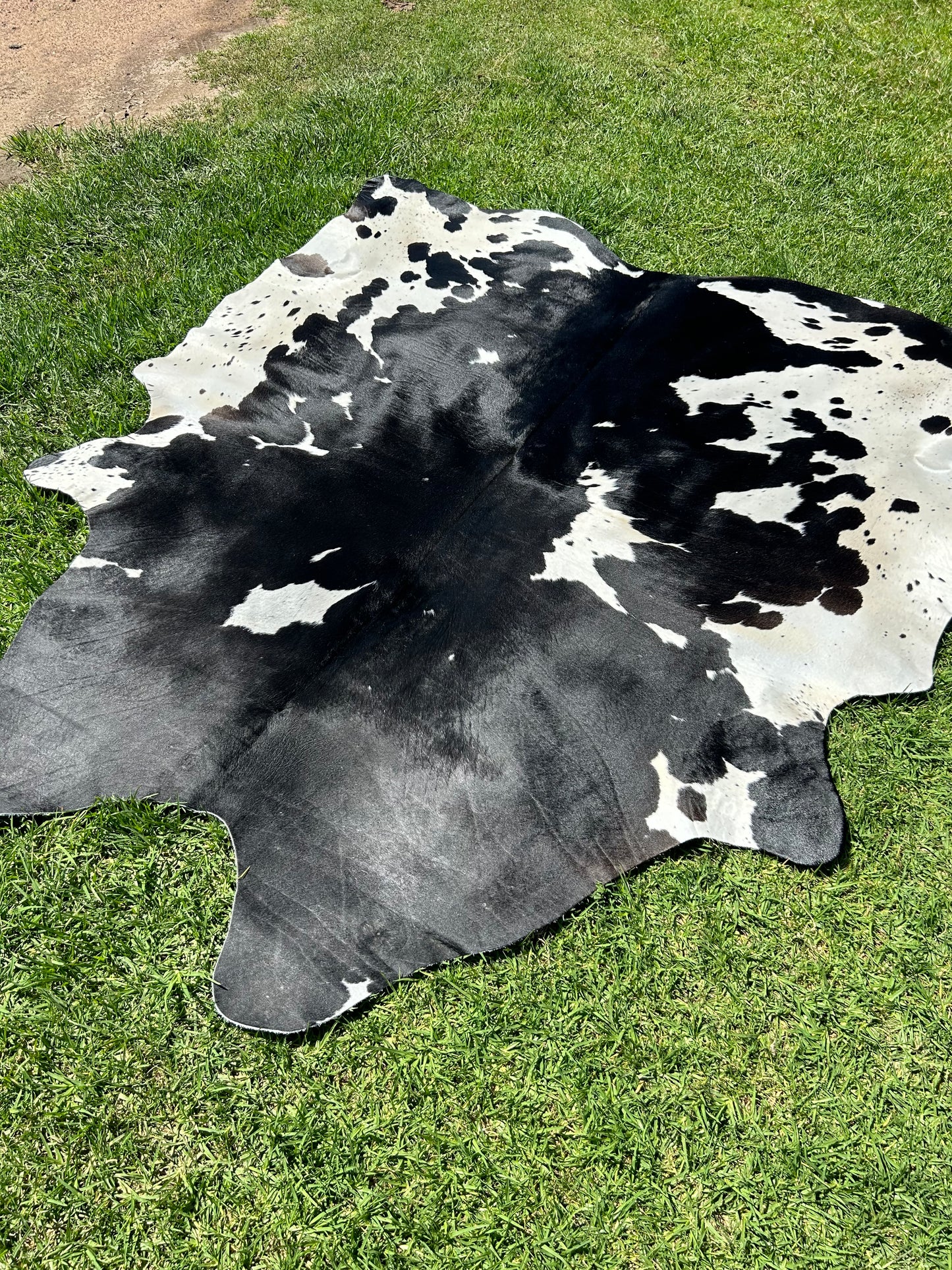 Cowhide Rug 243