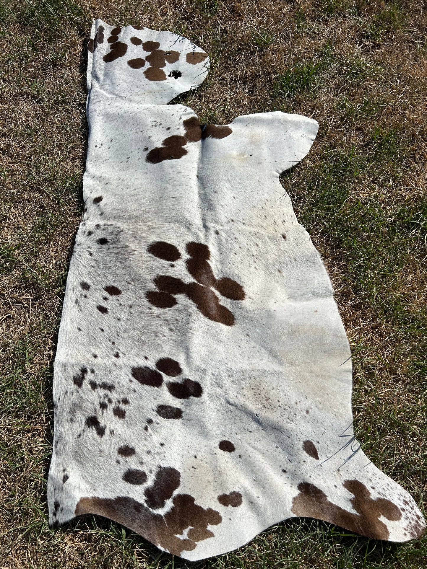 Craft hide side - 61