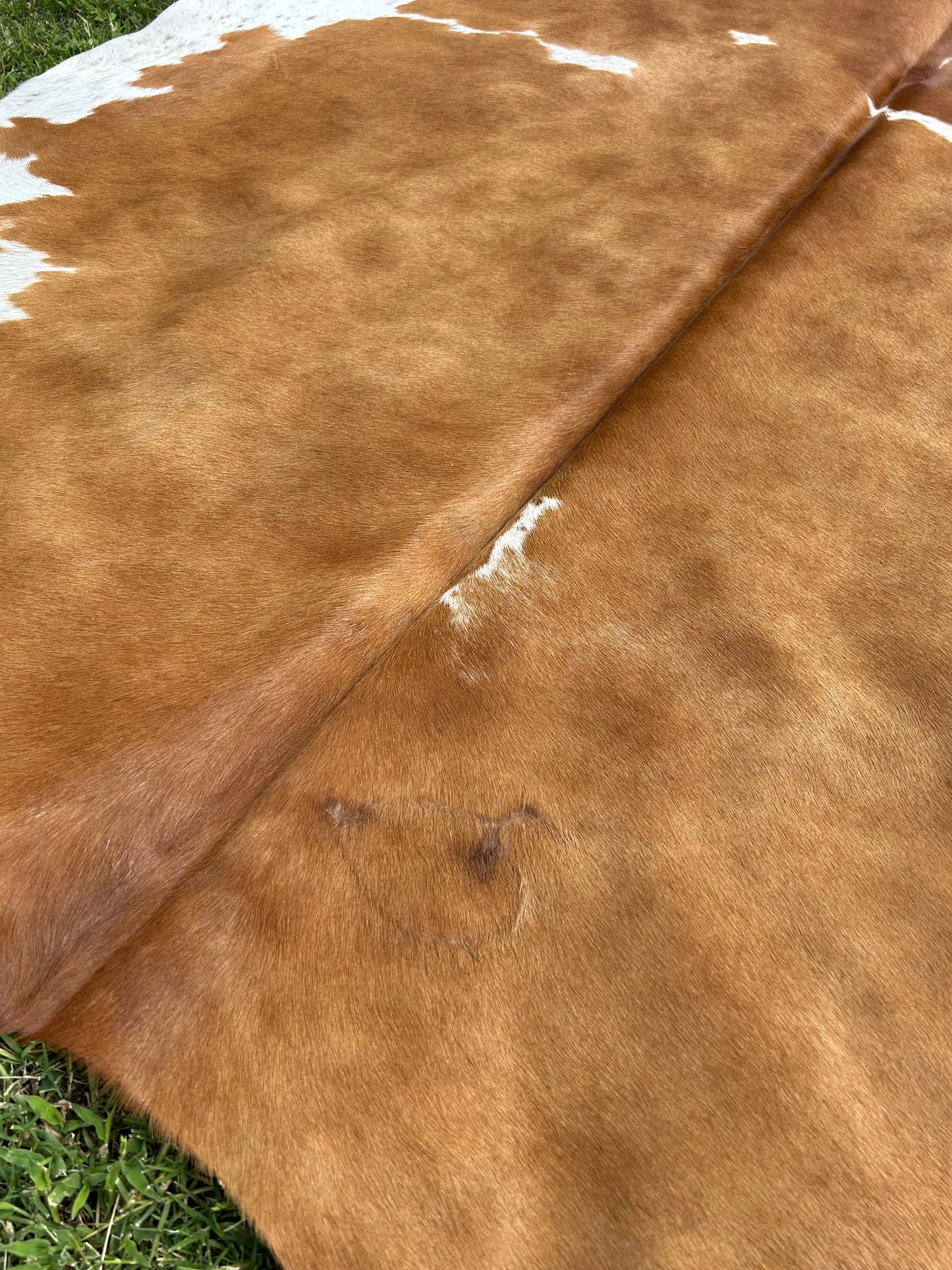 Cowhide Rug 273