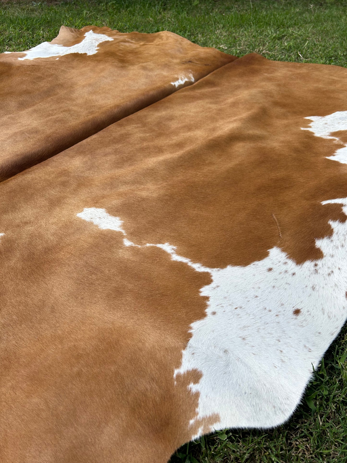 Cowhide Rug 273