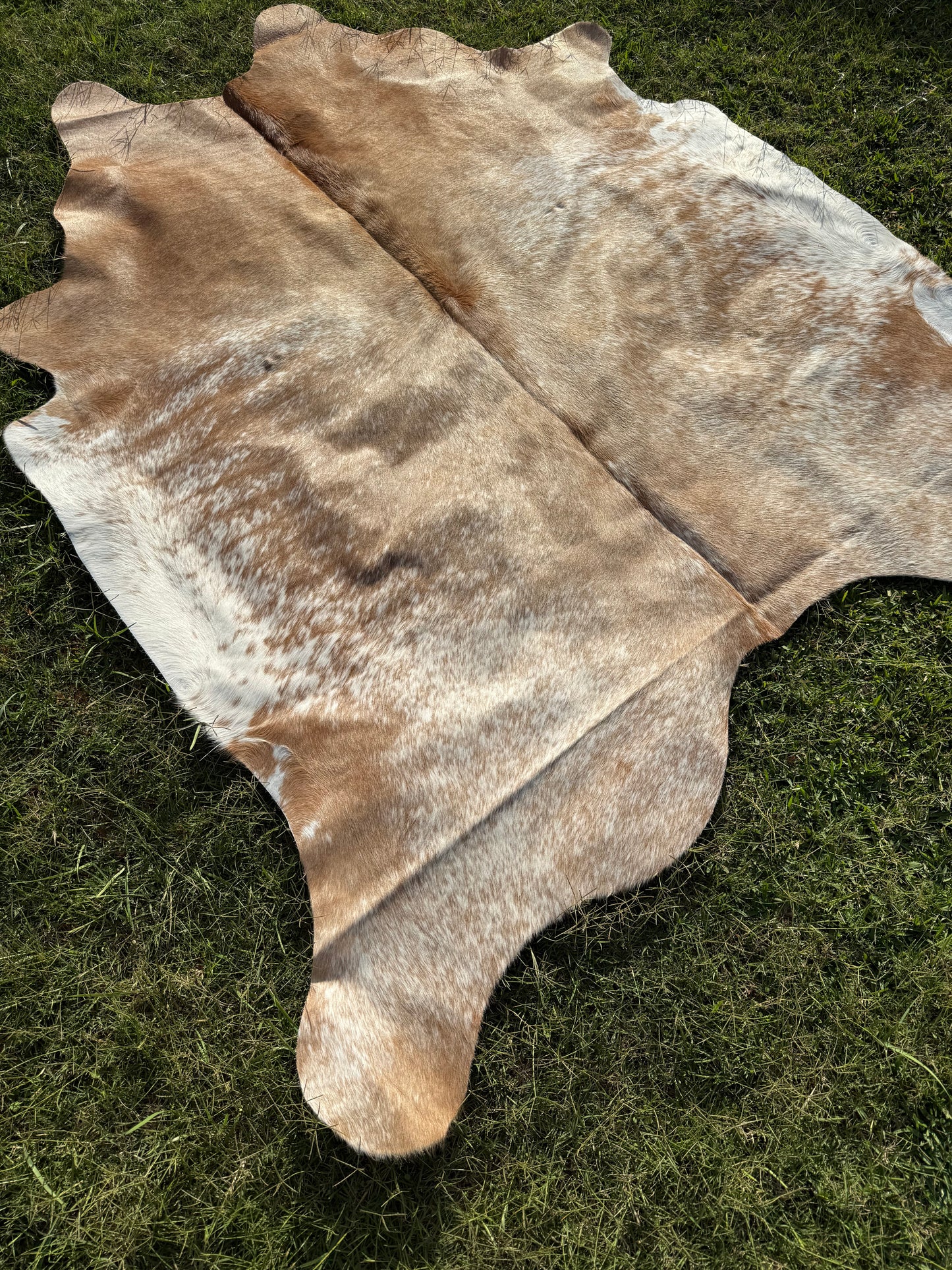 Cowhide Rug 282