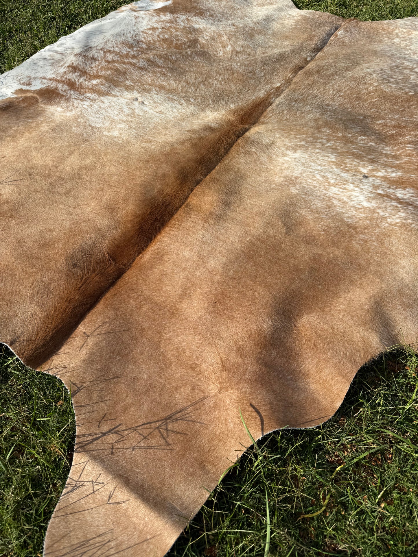 Cowhide Rug 282