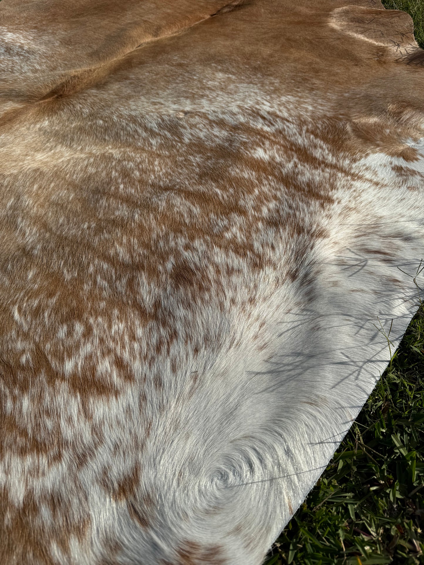 Cowhide Rug 282
