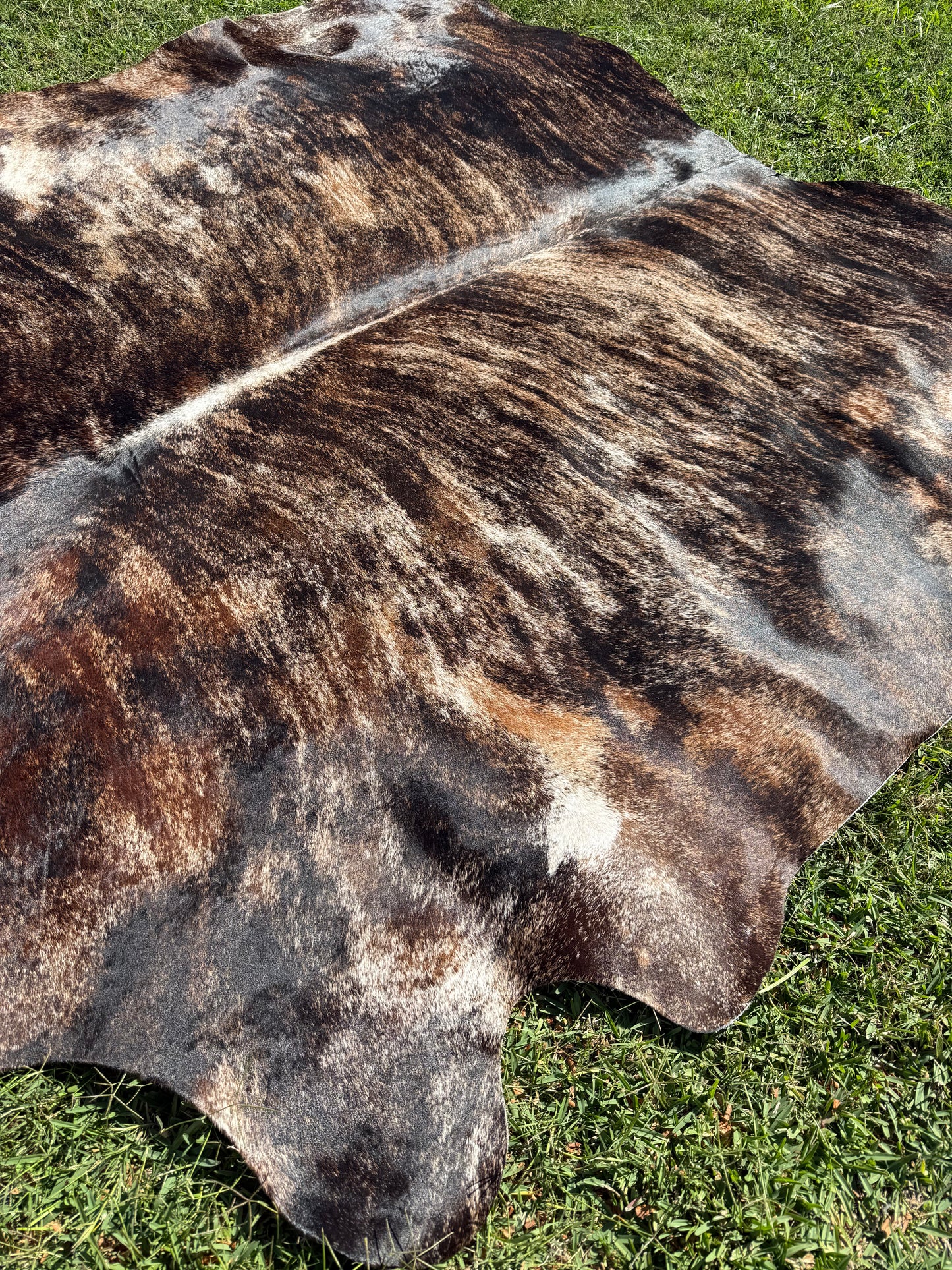 Cowhide Rug 296