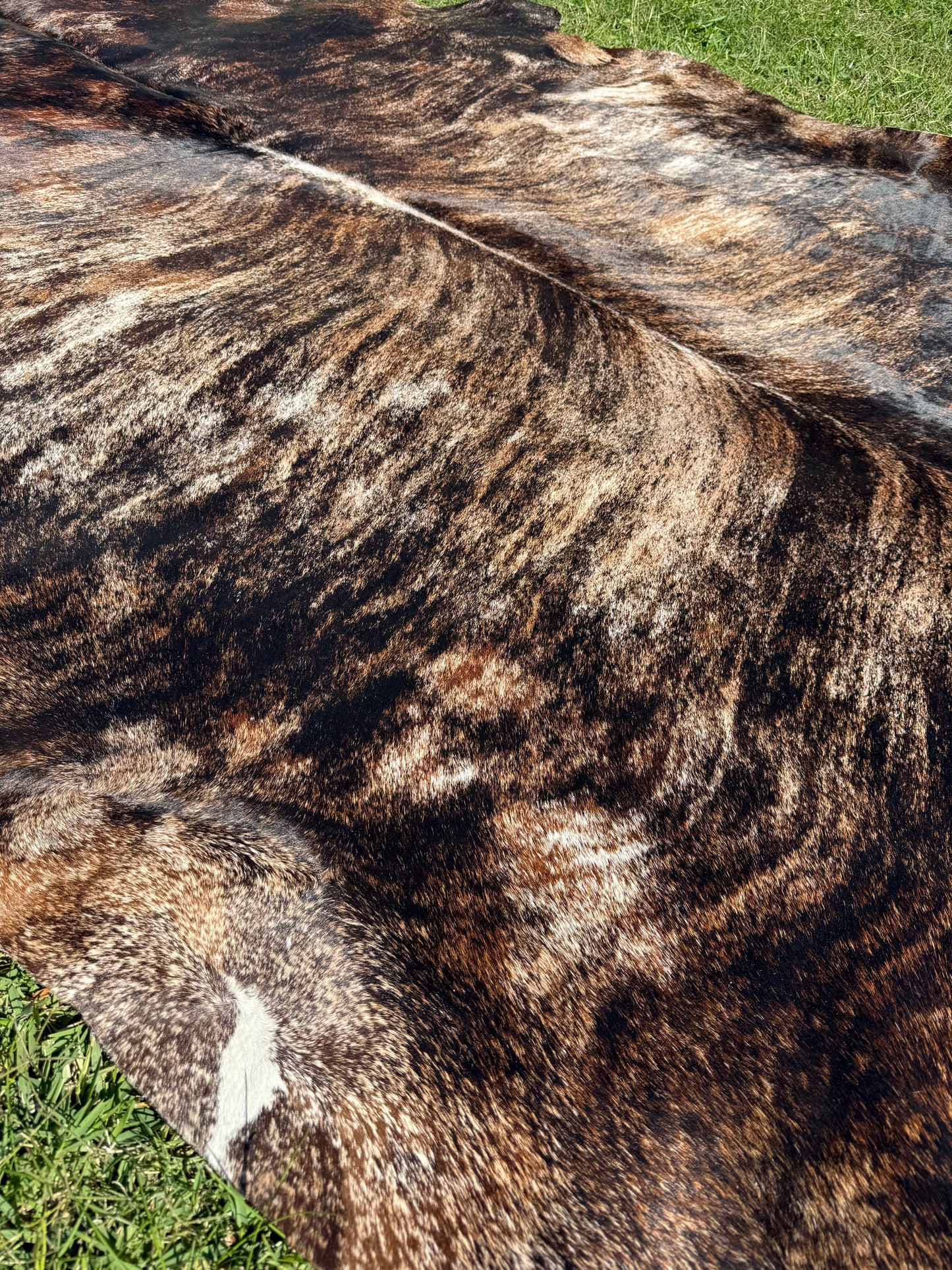 Cowhide Rug 296