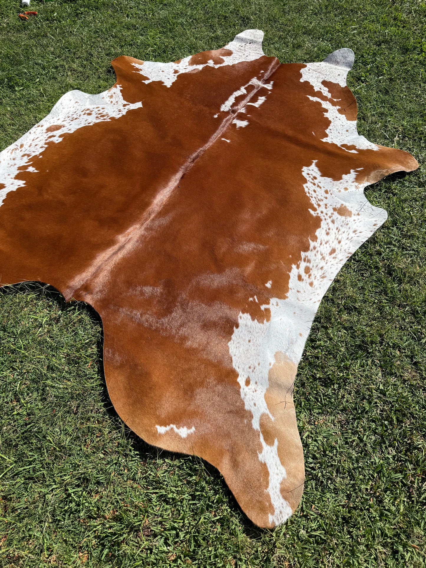 Cowhide Rug 297