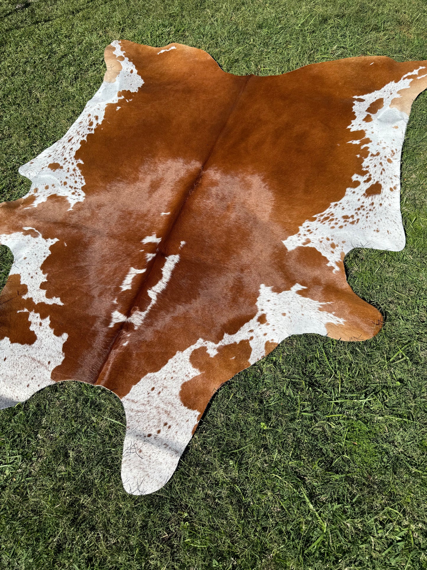 Cowhide Rug 297