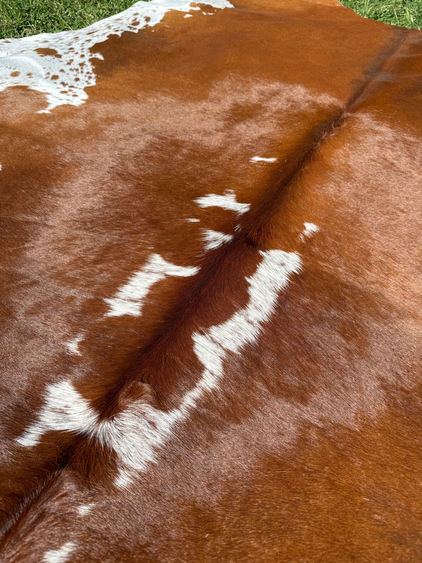 Cowhide Rug 297