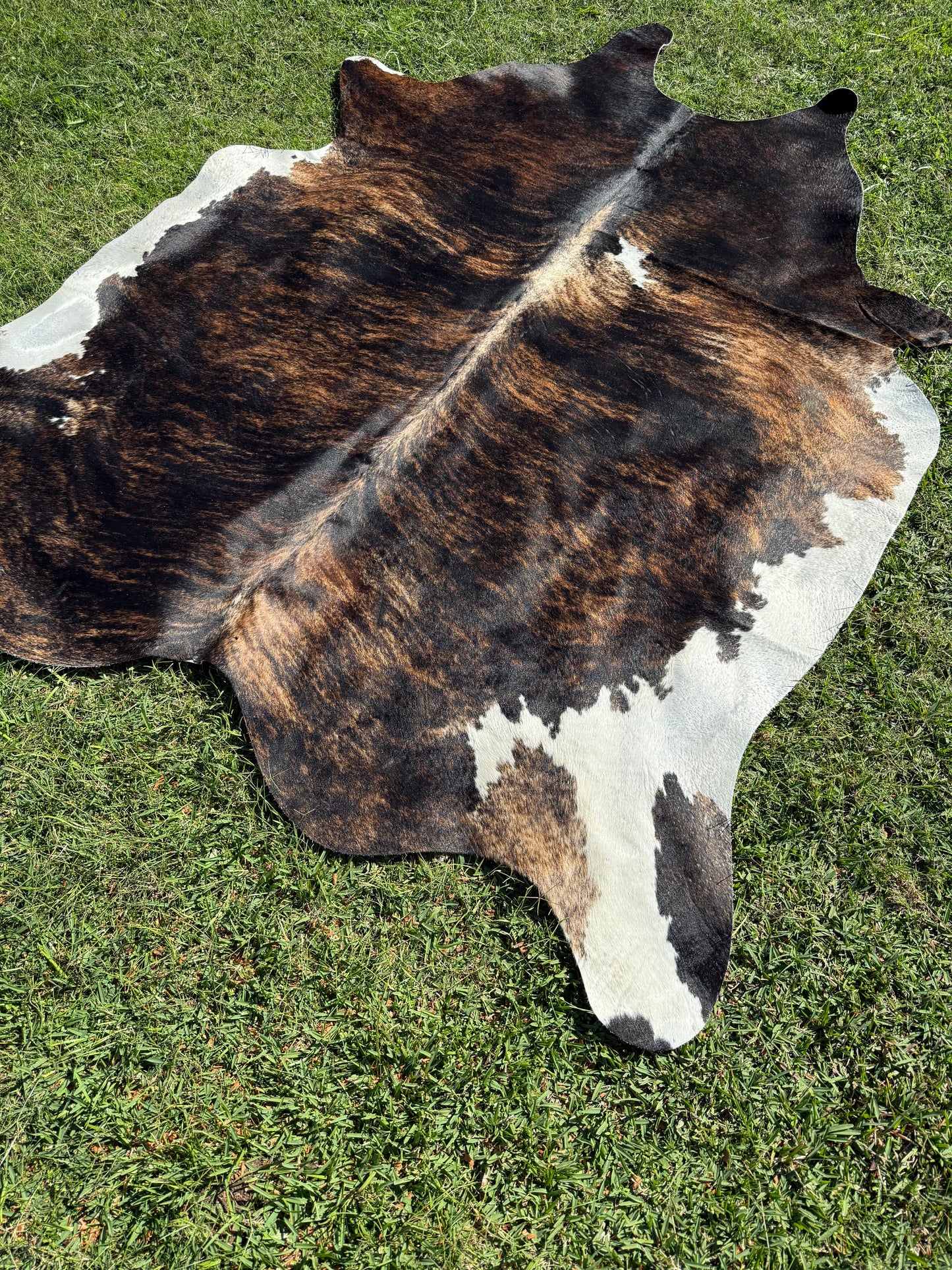 2nd rug