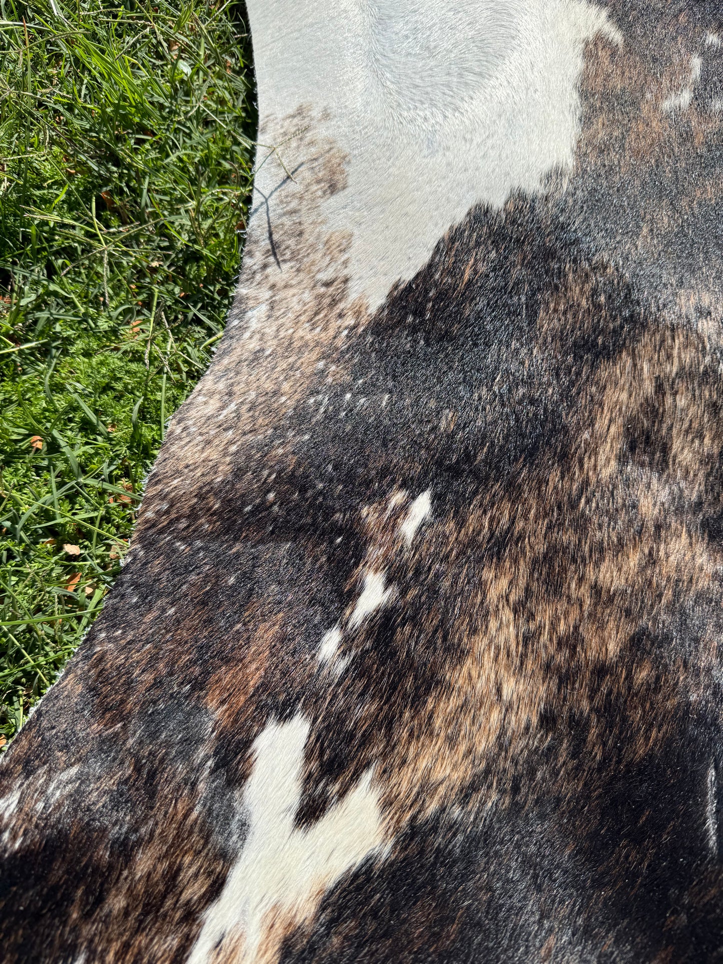 2nd rug
