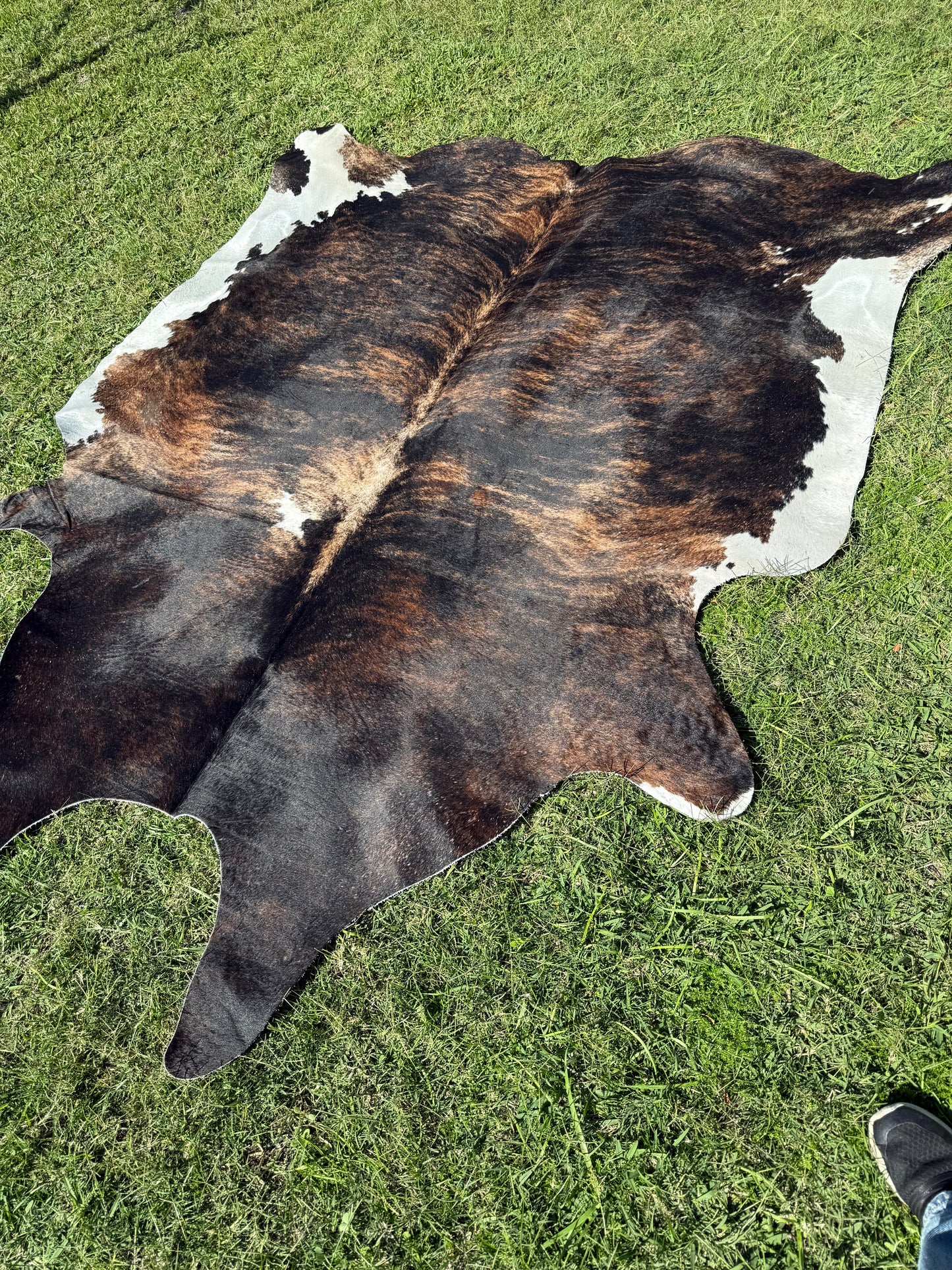 2nd rug