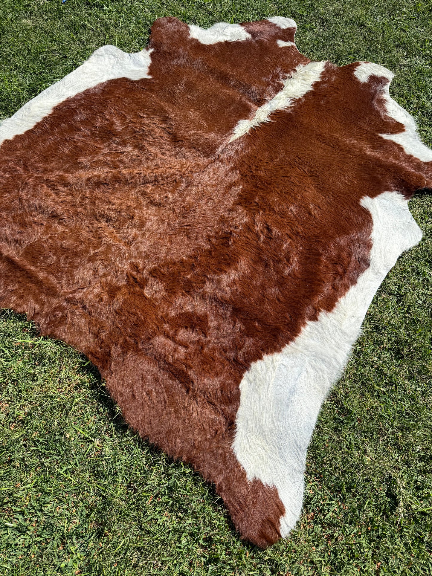 Cowhide Rug 298