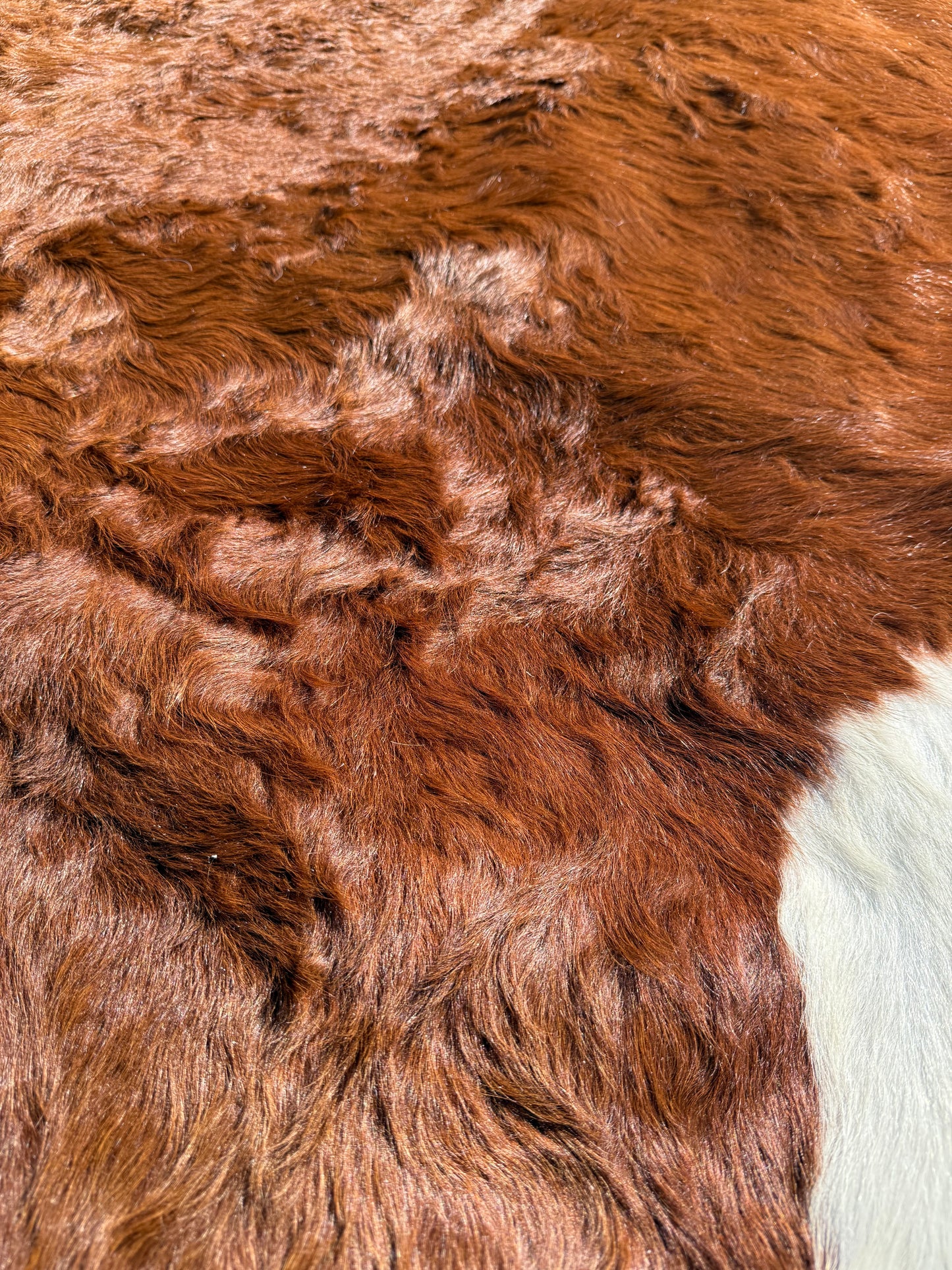 Cowhide Rug 298