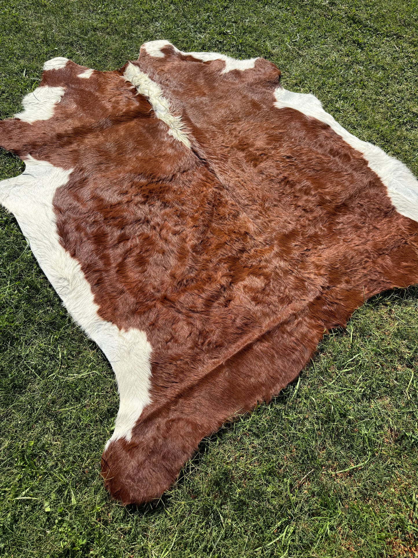 Cowhide Rug 298