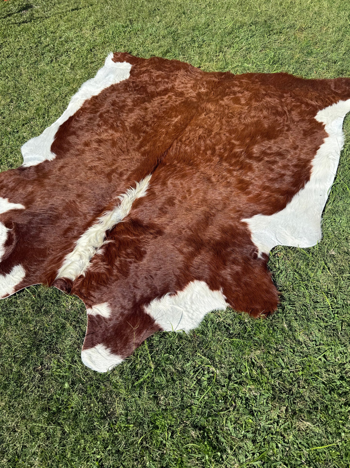 Cowhide Rug 298