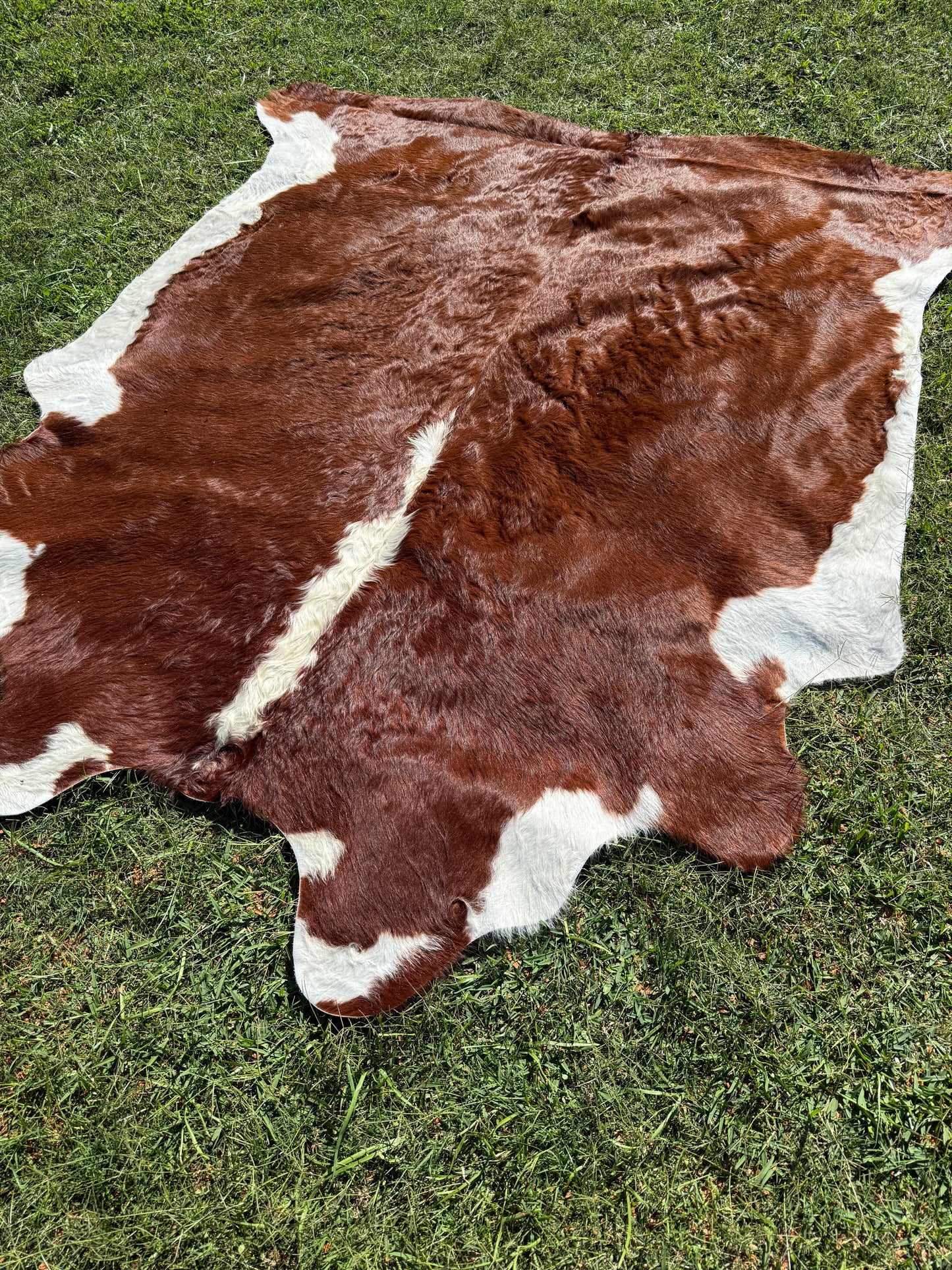 Cowhide Rug 299