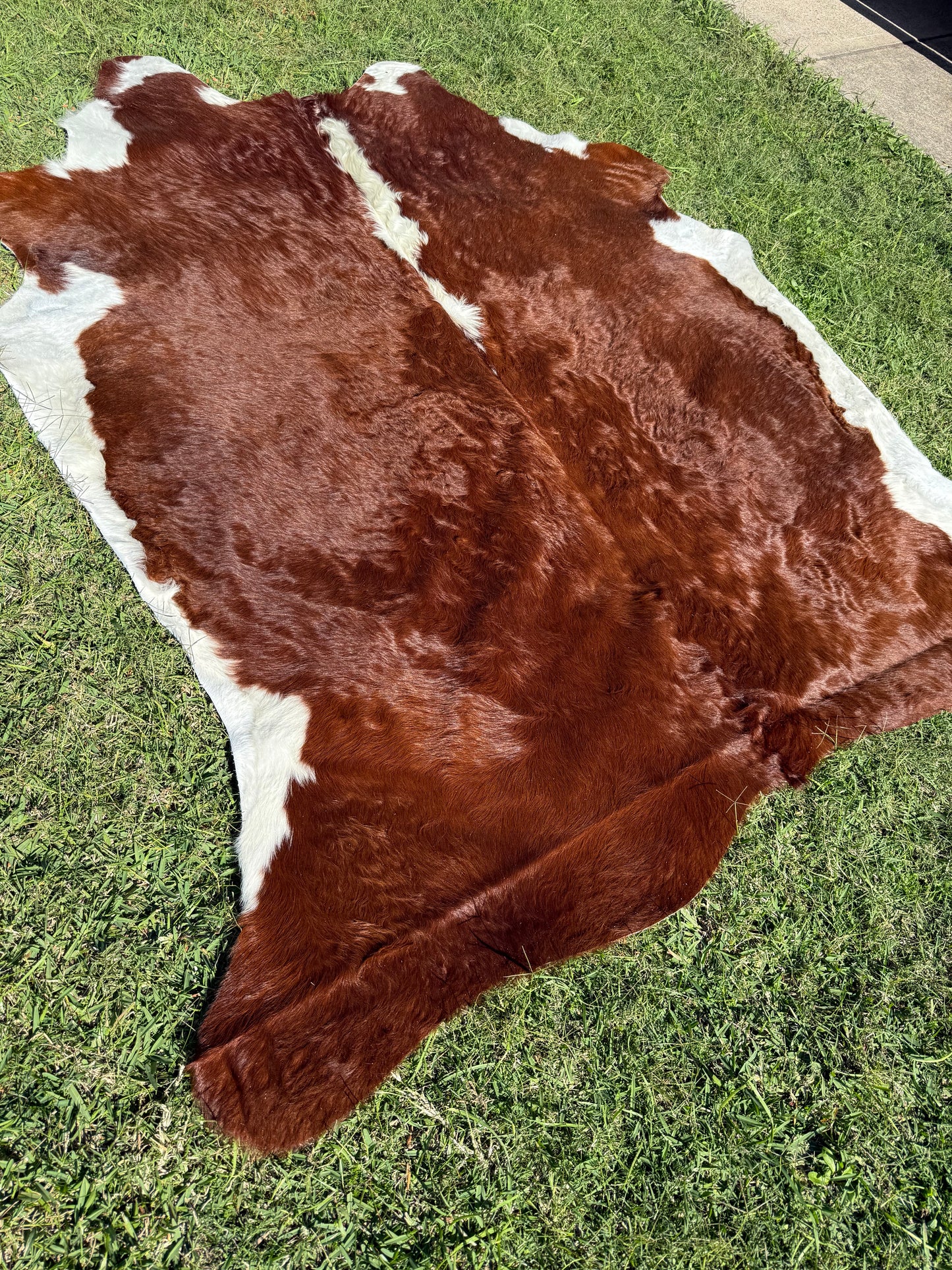 Cowhide Rug 299