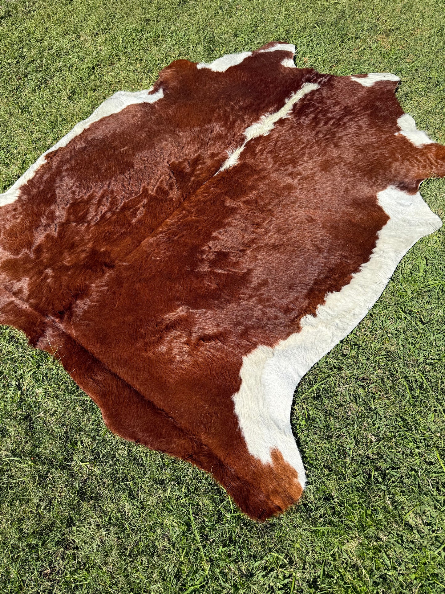 Cowhide Rug 299