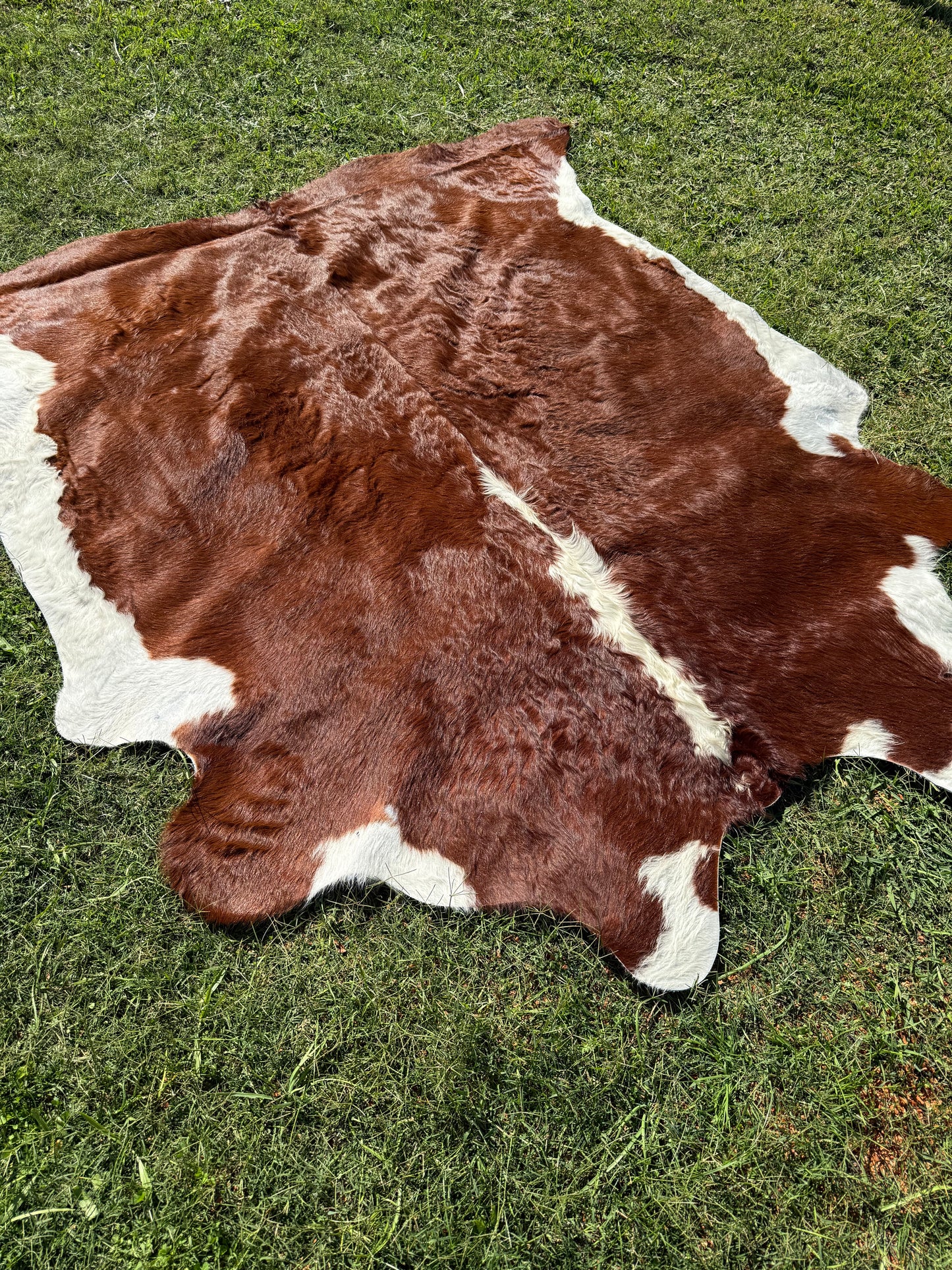 Cowhide Rug 299