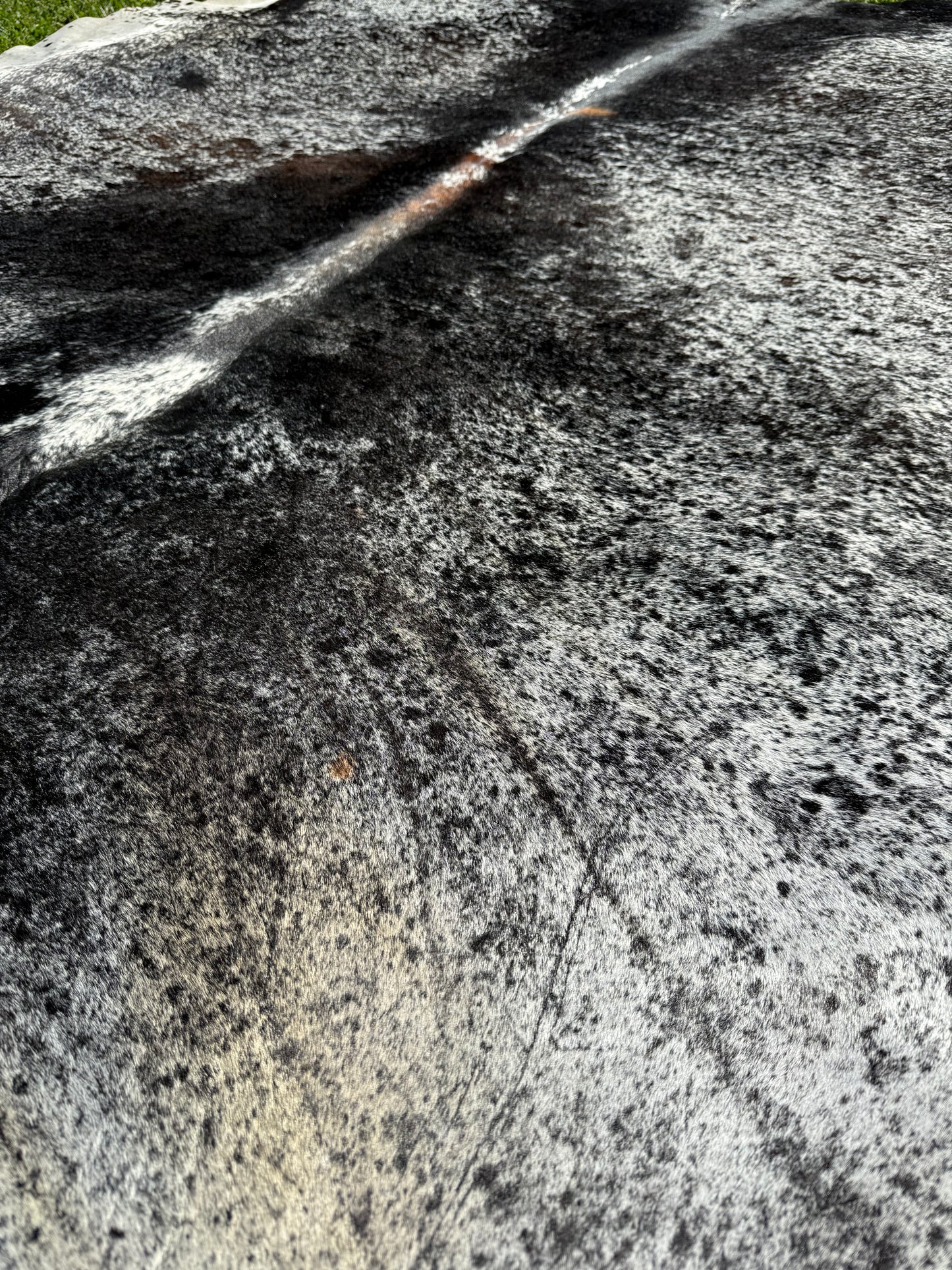 Cowhide Rug 300
