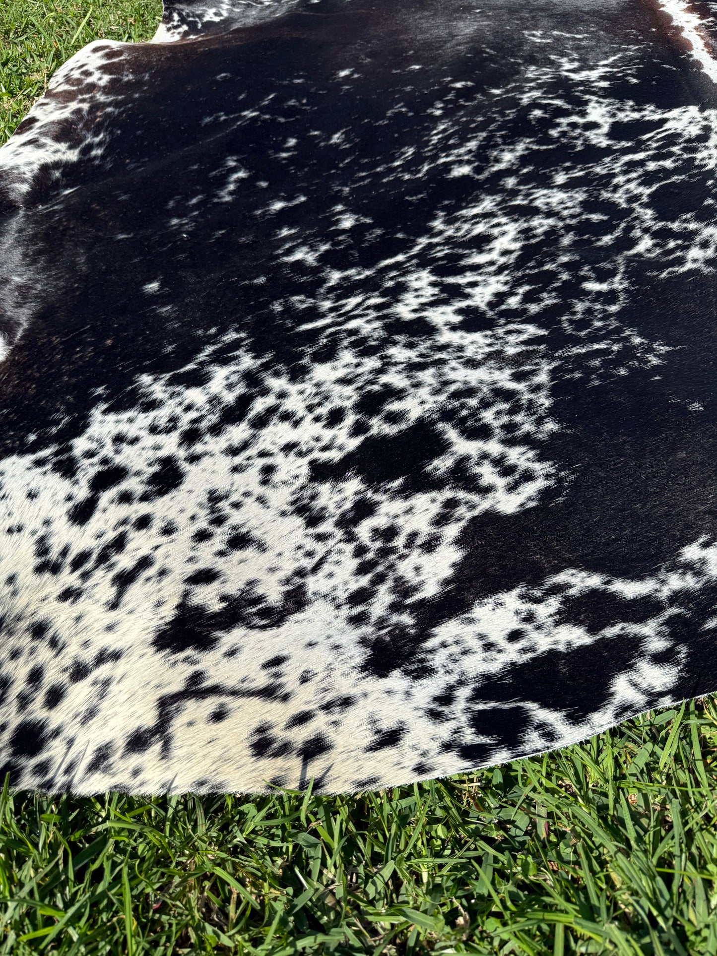 Cowhide Rug 304