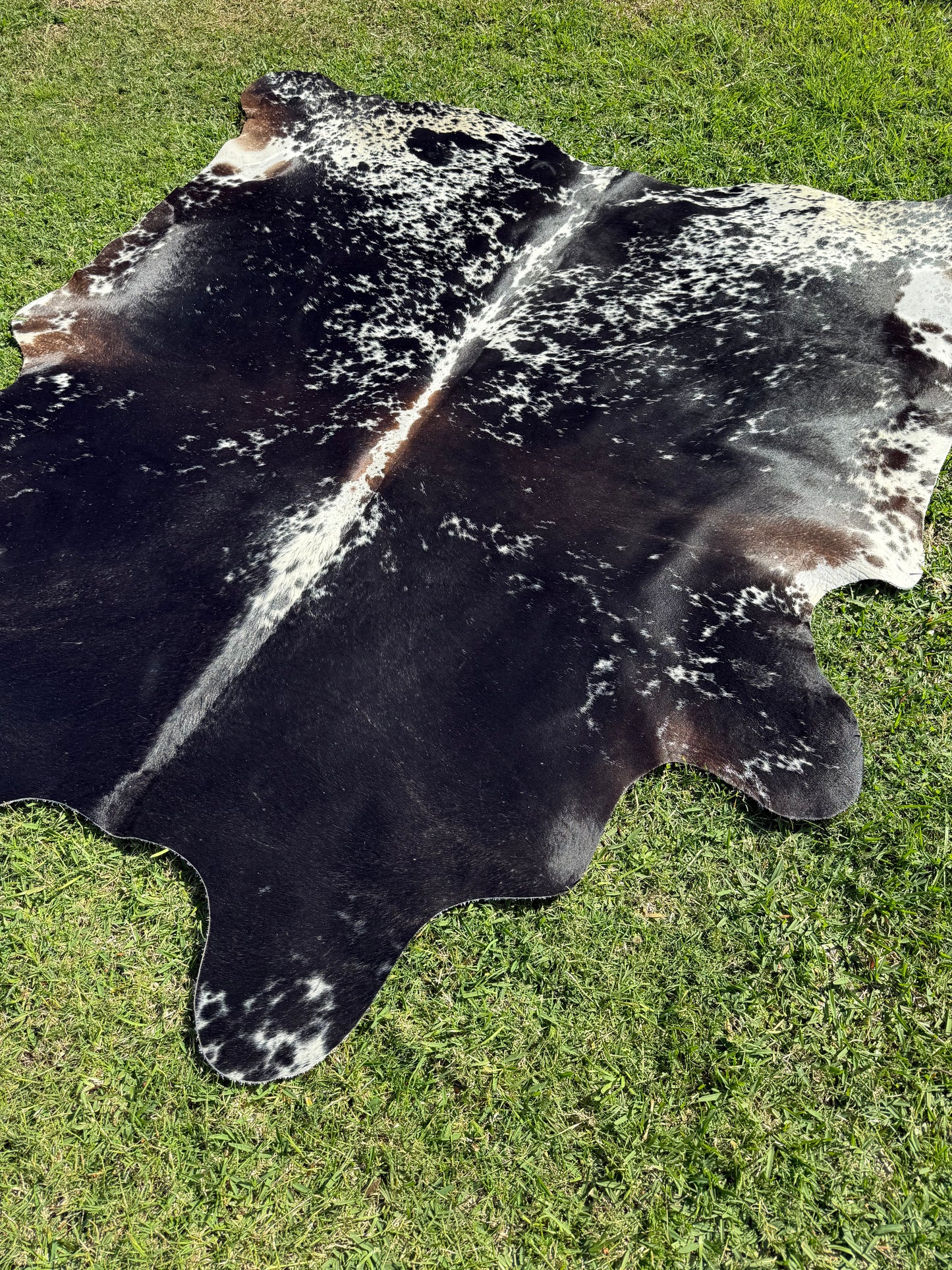 Cowhide Rug 304