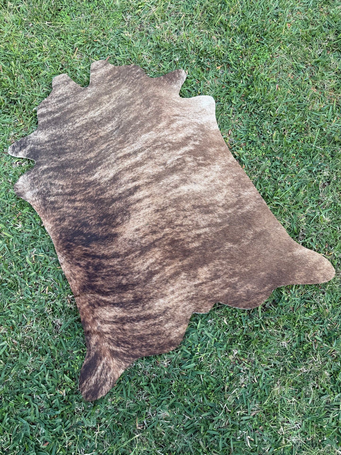 Mini Cowhide 4