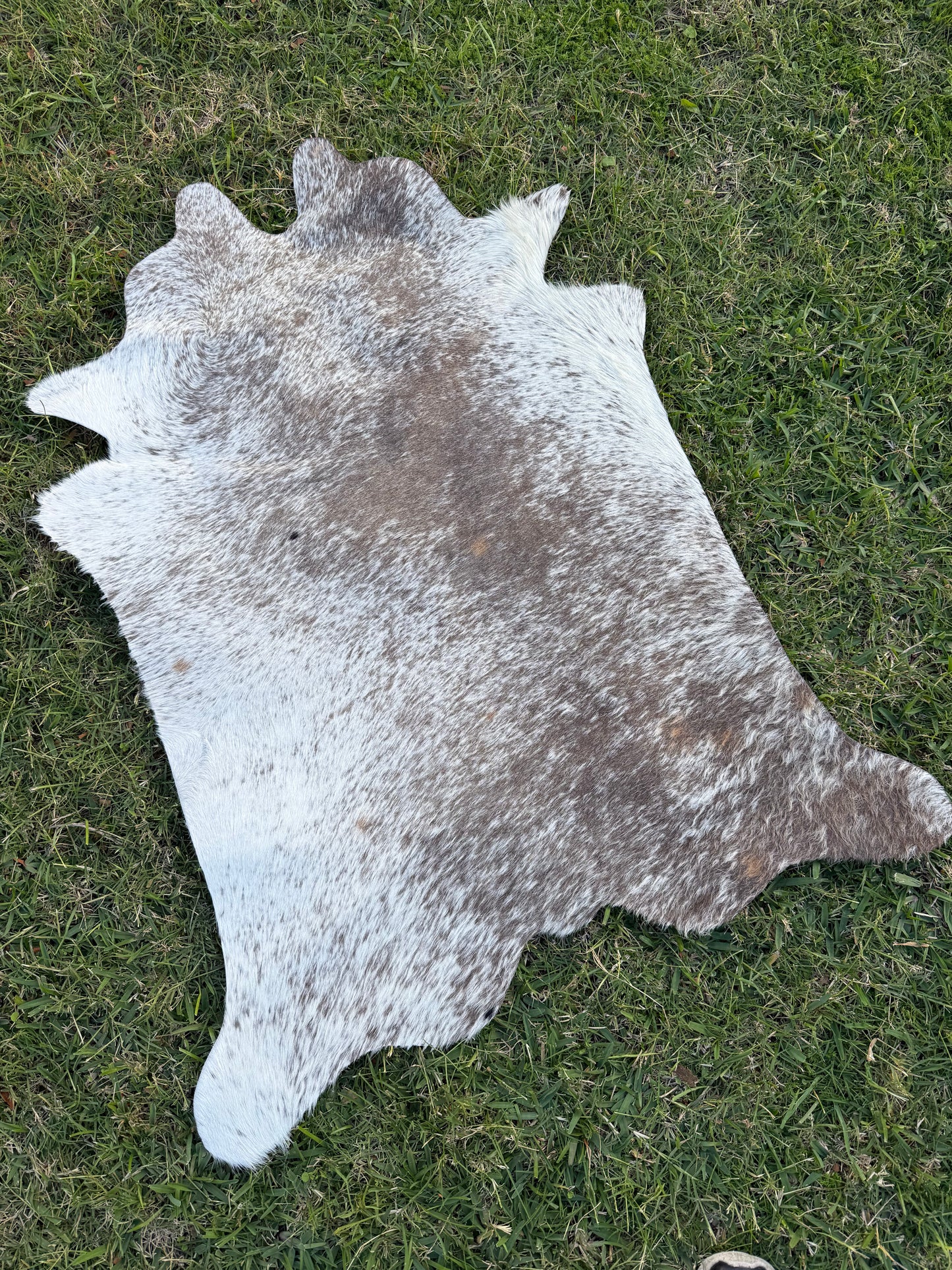 Mini Cowhide 8