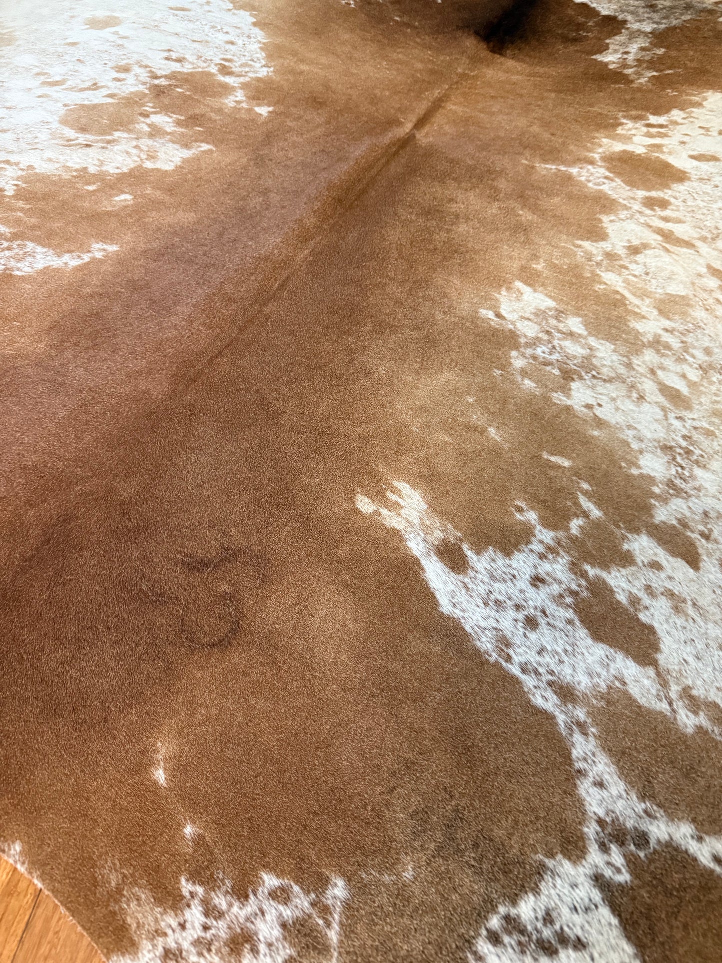Cowhide Rug 318