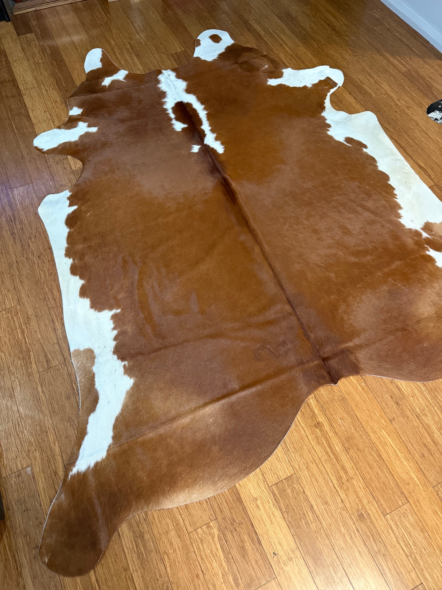Cowhide Rug 320