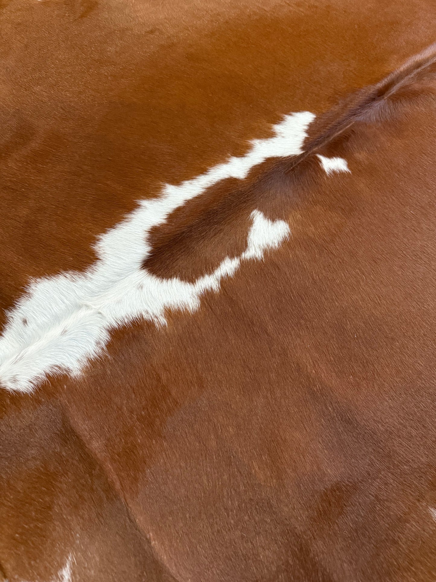 Cowhide Rug 320