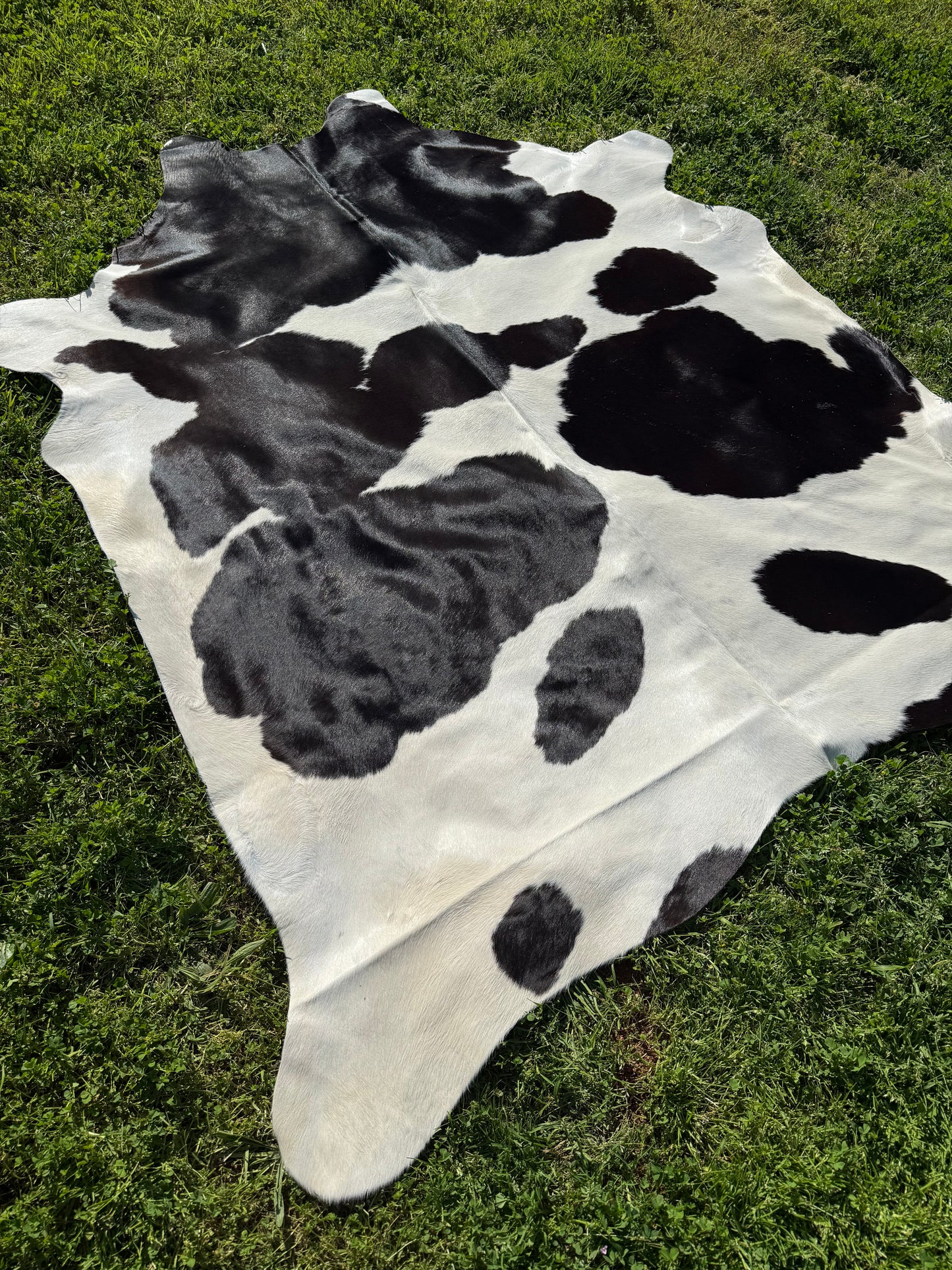 Cowhide Rug 326