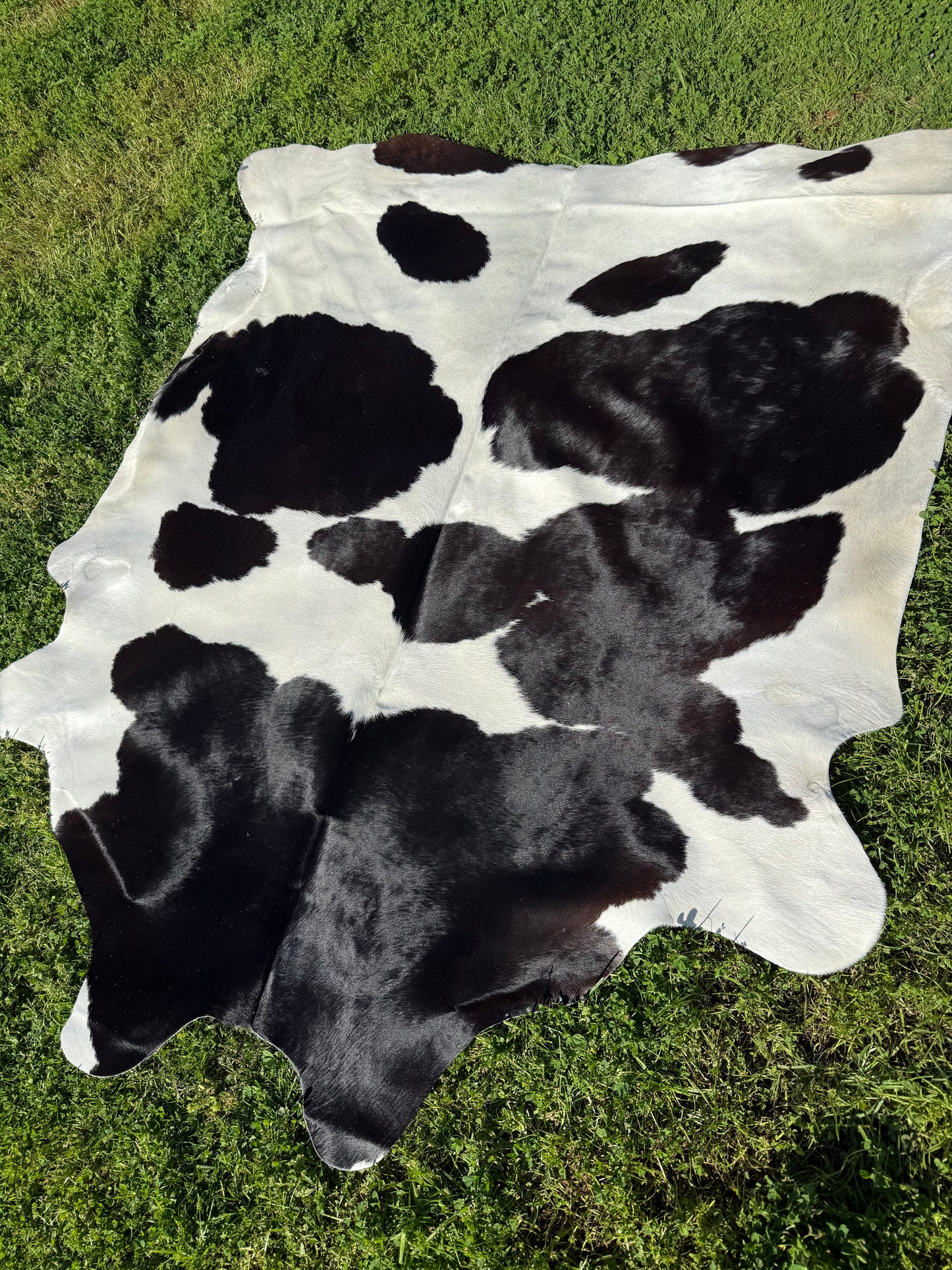 Cowhide Rug 326