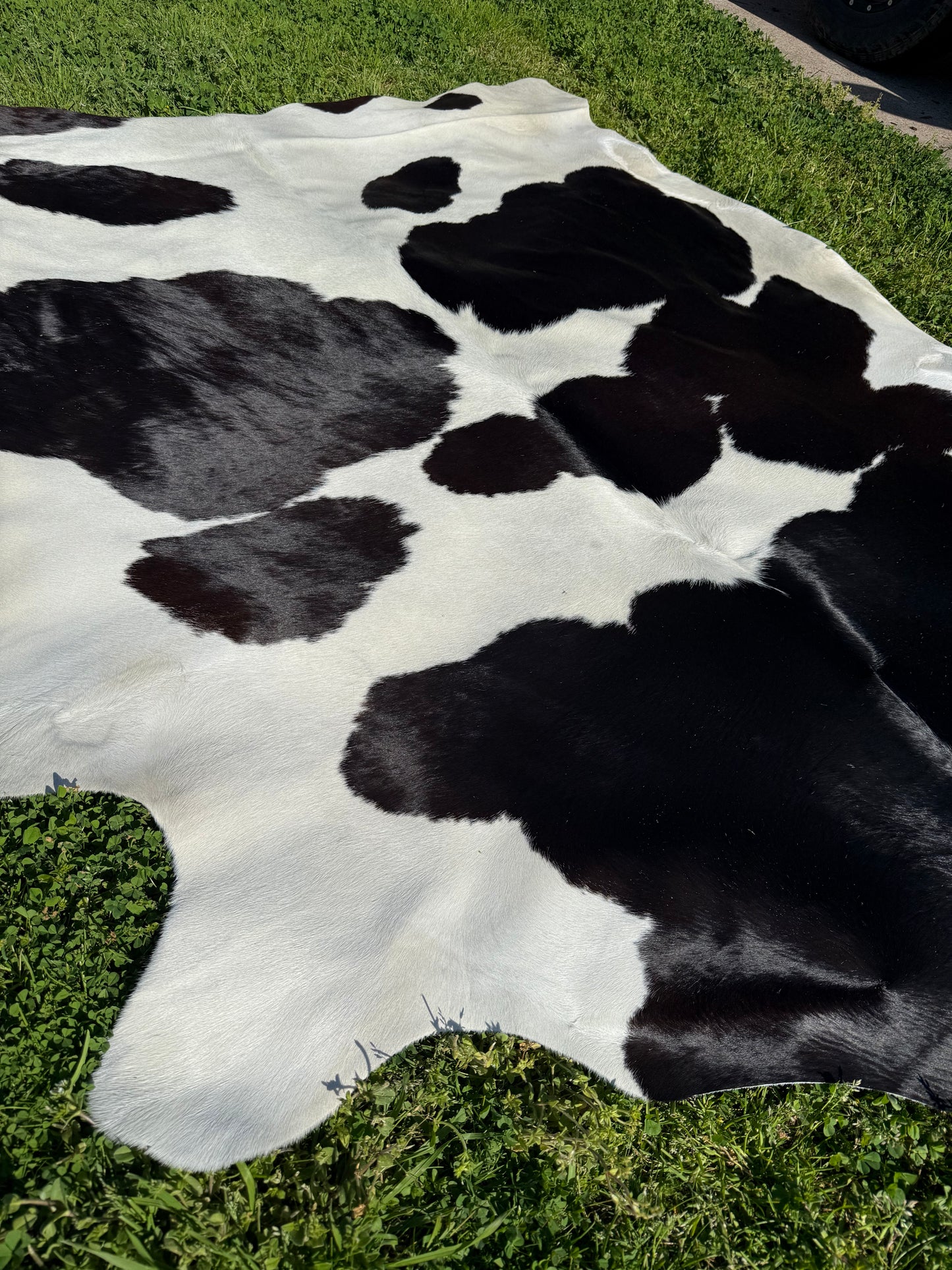 Cowhide Rug 326
