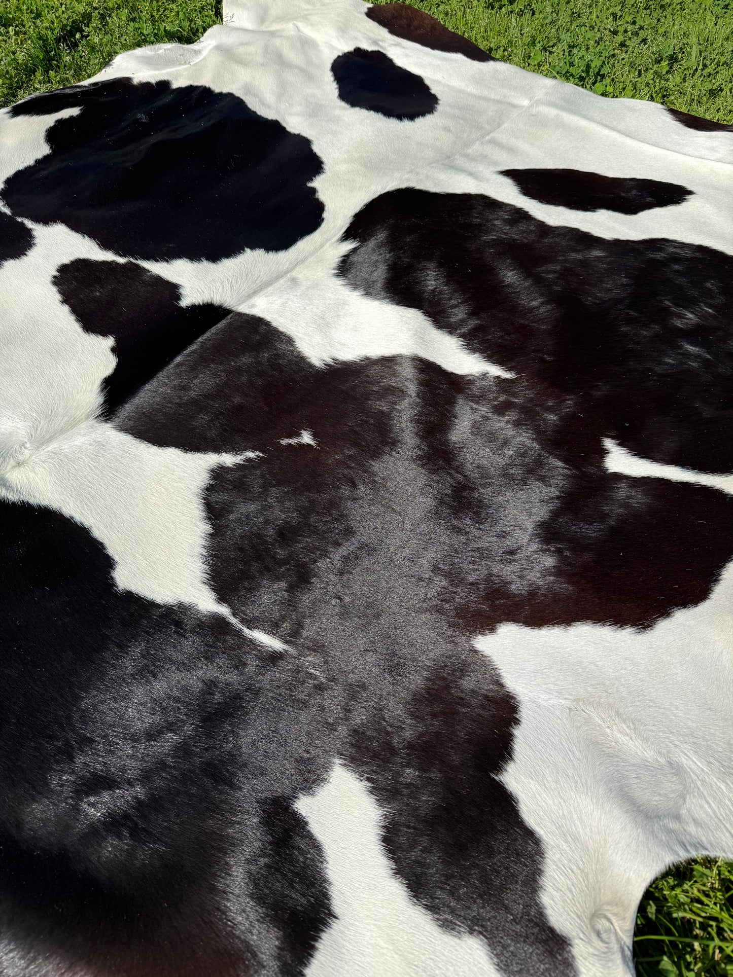 Cowhide Rug 326