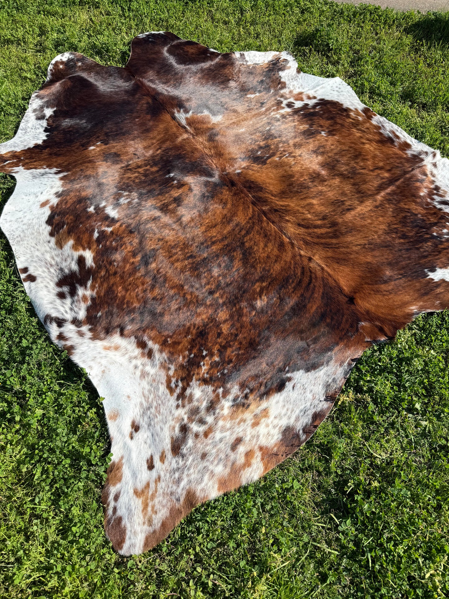 Cowhide Rug 327