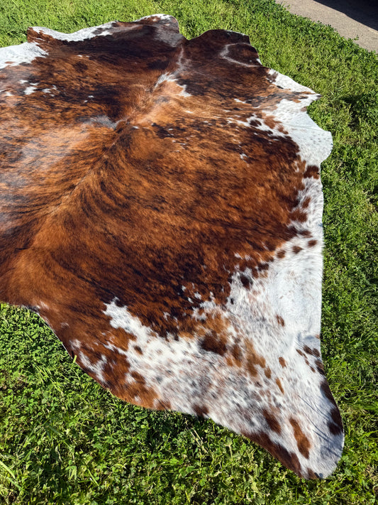 Cowhide Rug 327