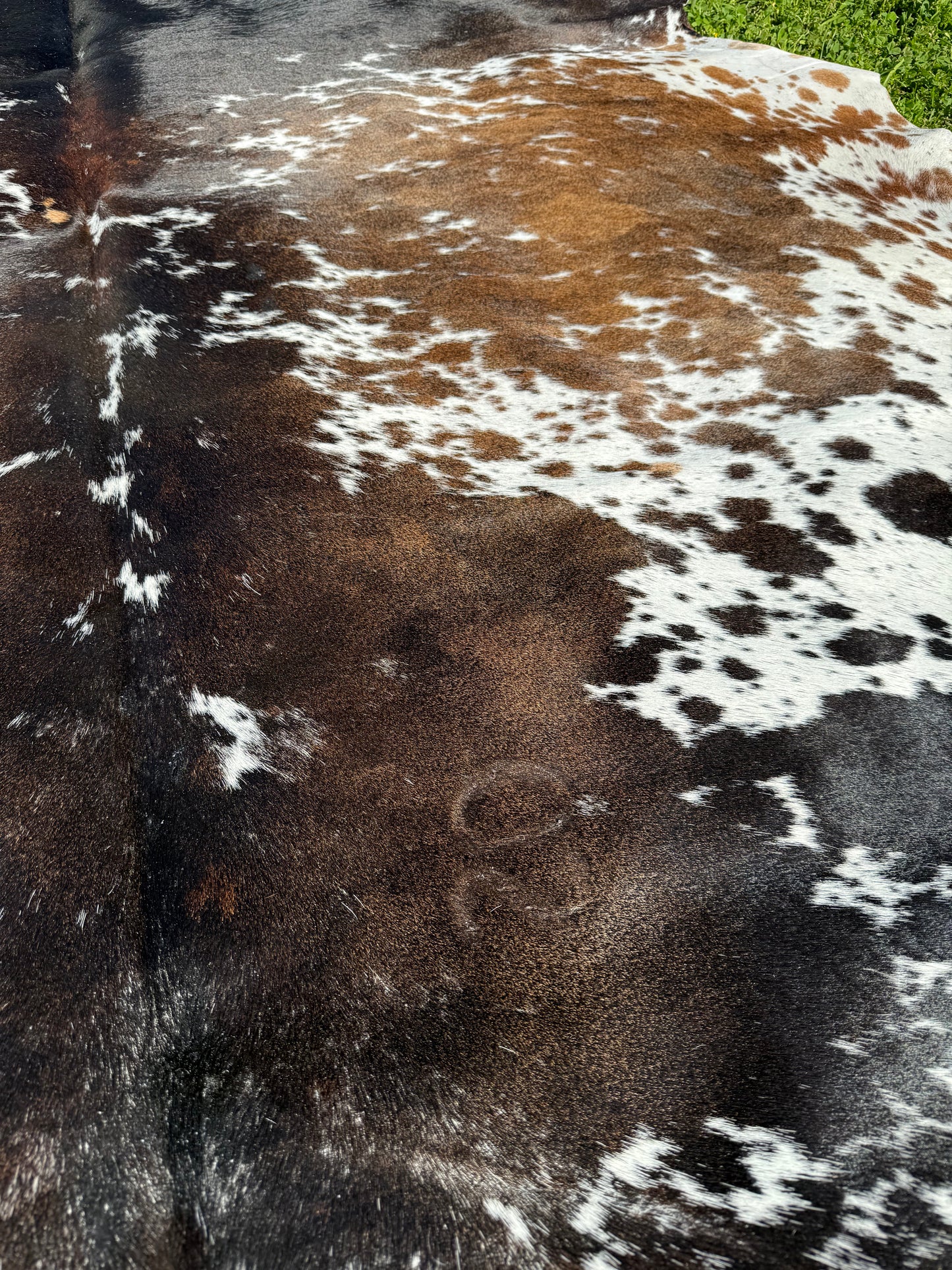 Cowhide Rug 329