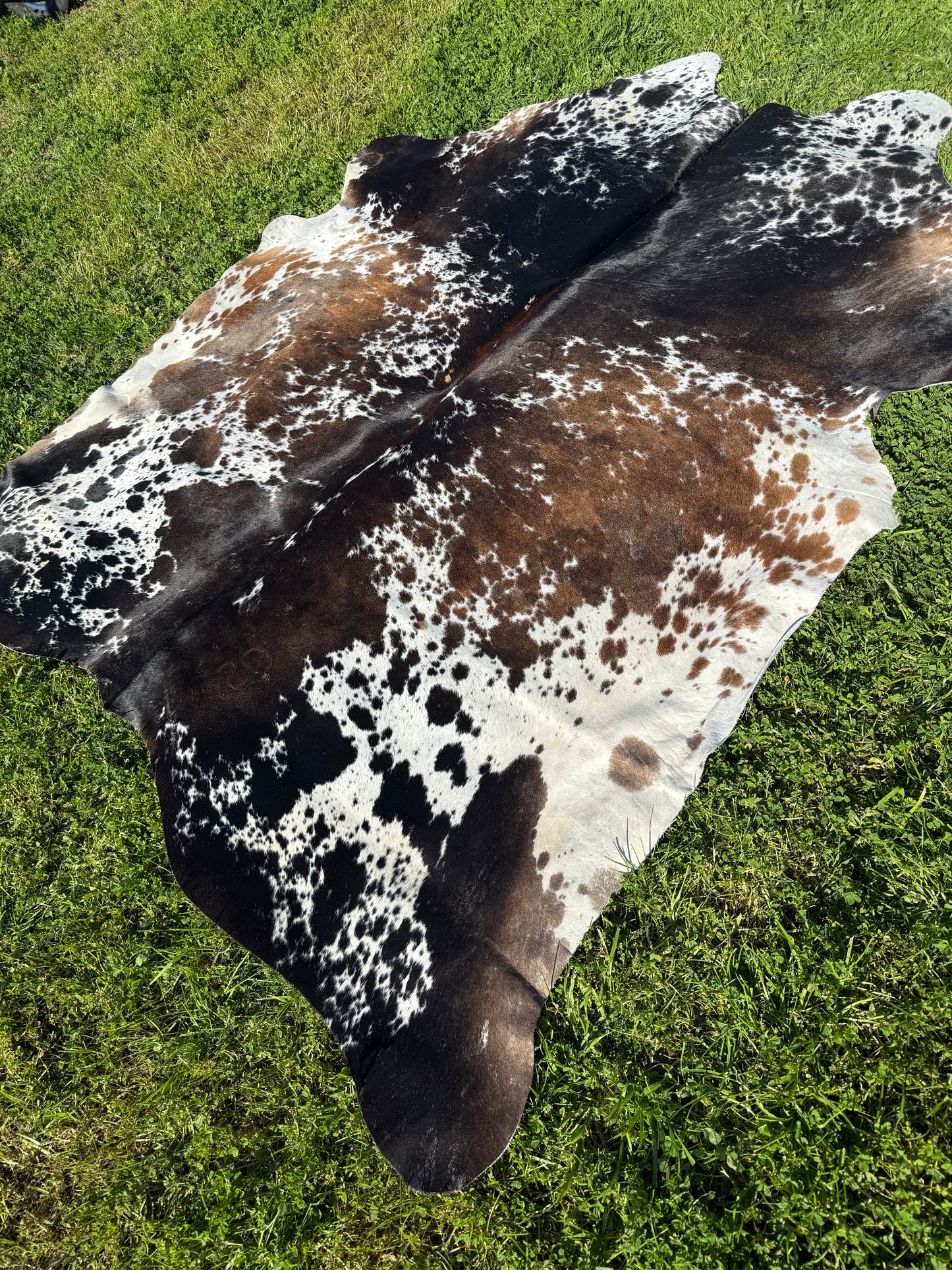Cowhide Rug 329