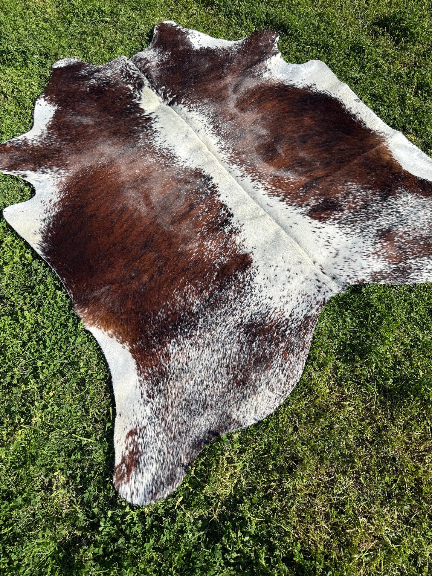 Cowhide Rug 330