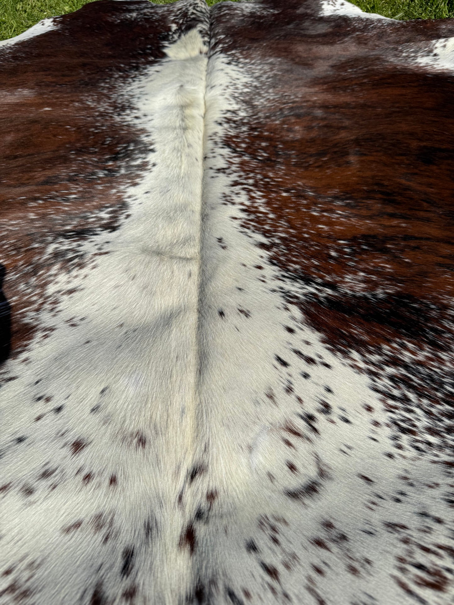 Cowhide Rug 330