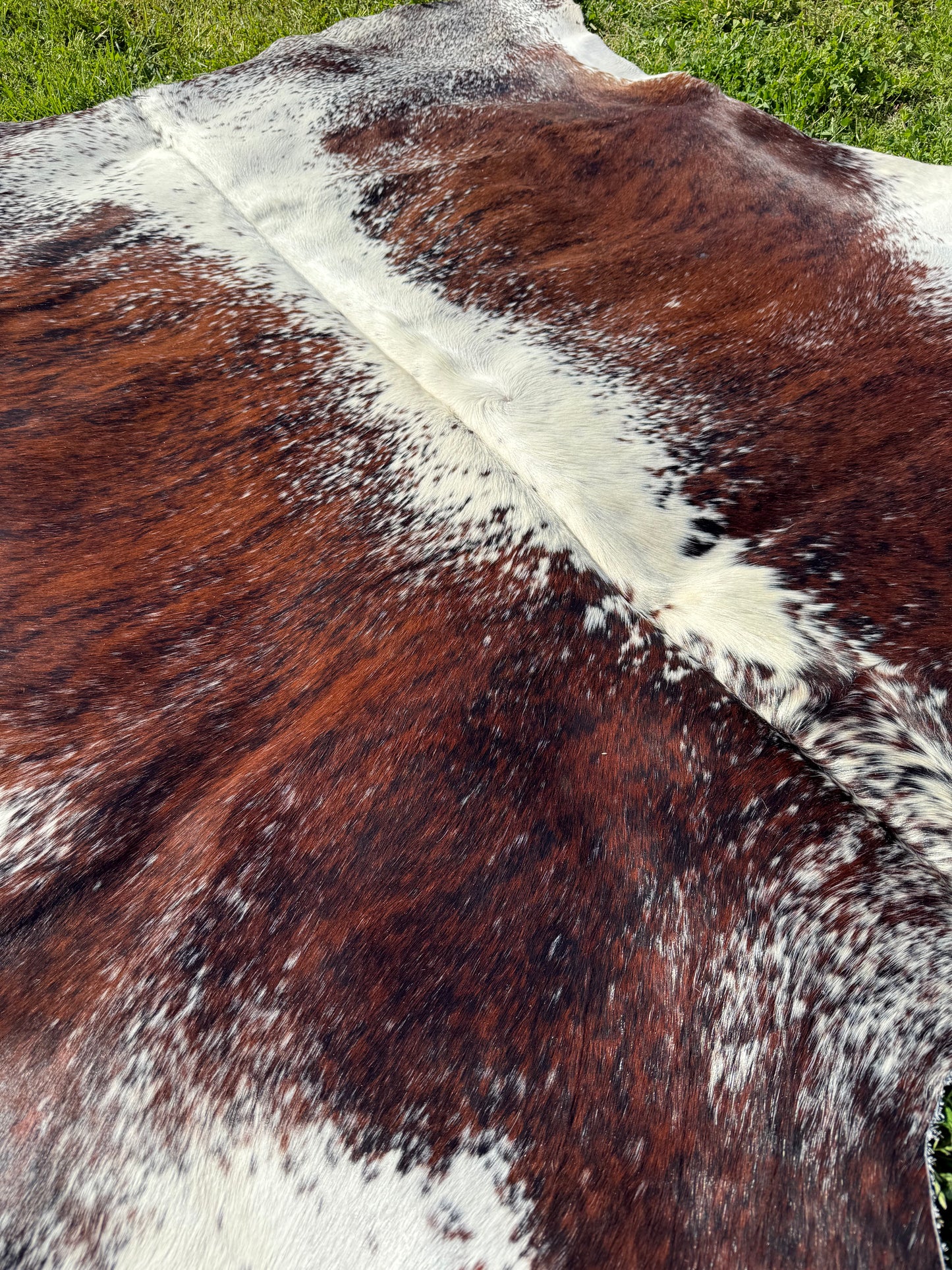 Cowhide Rug 330