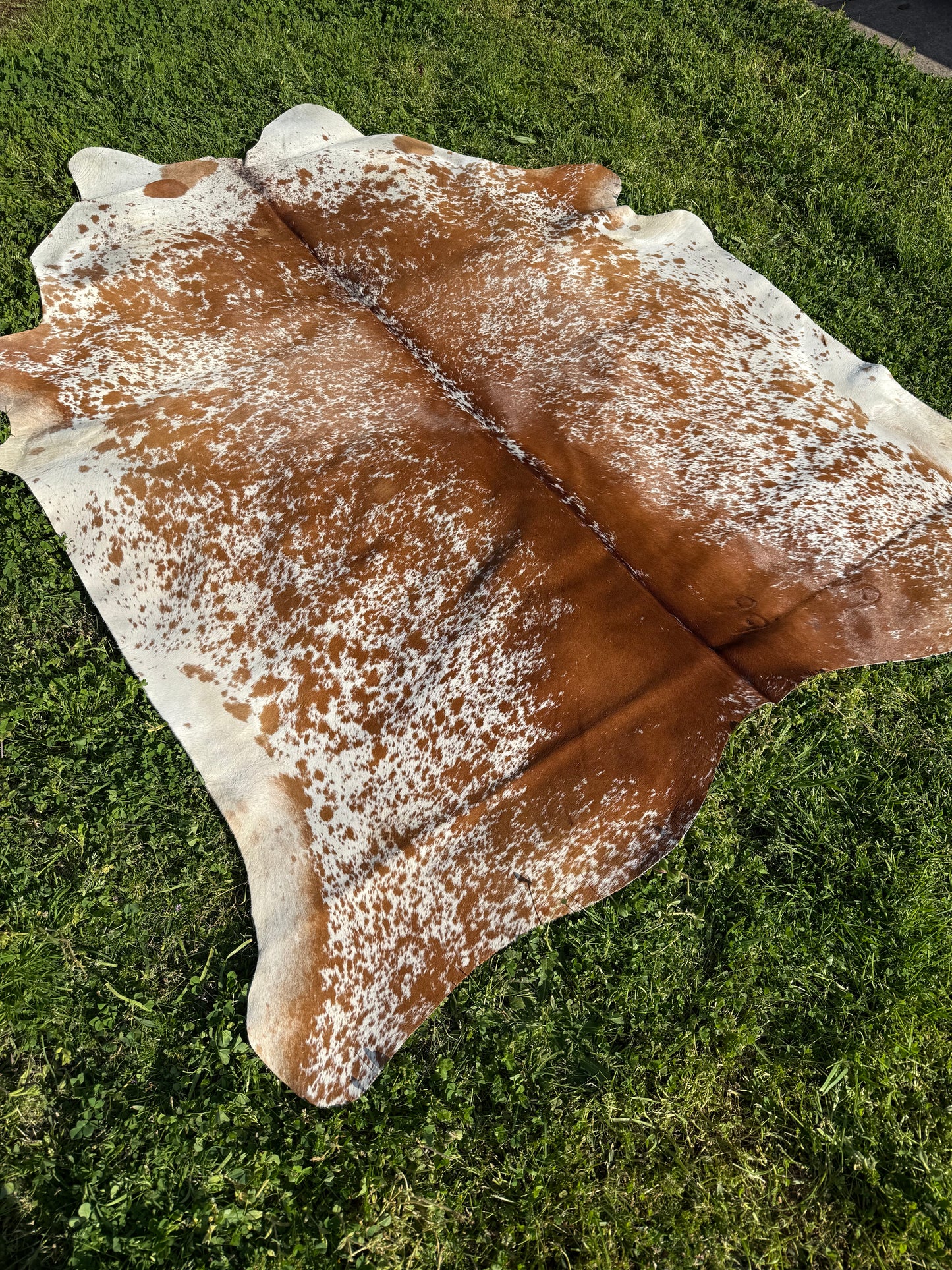 Cowhide Rug 331